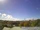 Auckland Sa. 2.5.