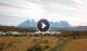 Nationalpark Torres del Paine Sa. 2.5.
