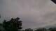 Carrum Sa. 2.5.