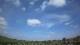 Winterton Sa. 2.5.