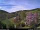 Diedenshausen (Bad Berleburg) Sa. 2.5.