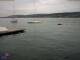 Thalwil So. 3.5.