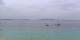 Le Lavandou So. 3.5.