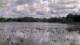 Les Landes-Genusson So. 3.5.