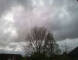 Emden So. 3.5.