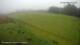 Princetown So. 3.5.