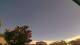 Carrum So. 3.5.