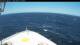 Norwegian Bliss So. 3.5.
