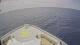Norwegian Joy So. 3.5.
