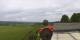 Schupfart So. 3.5.