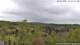 Altenau (Harz) So. 3.5.