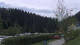 Bad Wildbad So. 3.5.