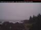 Ucluelet Mo. 4.5.