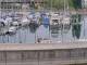 Arbon Mo. 4.5.
