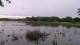 Les Landes-Genusson Mo. 4.5.
