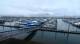 Seward, Alaska Mo. 4.5.