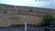 Morella Mo. 4.5.