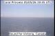 Coral Princess Di. 5.5.