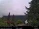 North Bend, Washington Di. 5.5.