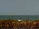 Cape Canaveral, Florida Di. 5.5.