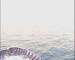 Mein Schiff 2 Di. 5.5.