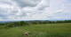 Grebenhain Di. 5.5.