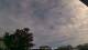 Carrum Di. 5.5.