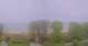 Heringsdorf (Usedom) Di. 5.5.