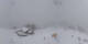 Serre Chevalier Di. 5.5.