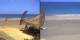 Marsa Alam Mi. 6.5.