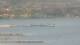 Balaruc-les-Bains Mi. 6.5.