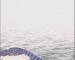 Mein Schiff 2 Mi. 6.5.