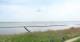 Nebel (Amrum) Mi. 6.5.