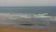 El Palmar de Vejer Mi. 6.5.