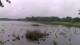 Les Landes-Genusson Mi. 6.5.