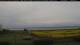 Gollendorf (Fehmarn) Mi. 6.5.
