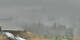 Ahrntal Mi. 6.5.