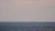 Saint-Gildas-de-Rhuys Do. 7.5.