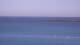 Saint-Jean-de-Luz Do. 7.5.