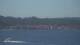 Saint-Tropez Do. 7.5.