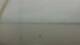 Arabi, Louisiana Do. 7.5.