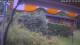 Bad Harzburg Do. 7.5.