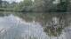 Les Landes-Genusson Do. 7.5.