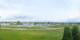 Altenrhein Do. 7.5.