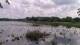 Les Landes-Genusson Do. 7.5.