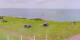 Donville-les-Bains Do. 7.5.