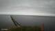Riga Do. 7.5.