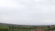 Alonia Do. 7.5.