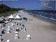 Heringsdorf (Usedom) Fr. 8.5.