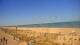 Rehoboth Beach, Delaware Fr. 8.5.